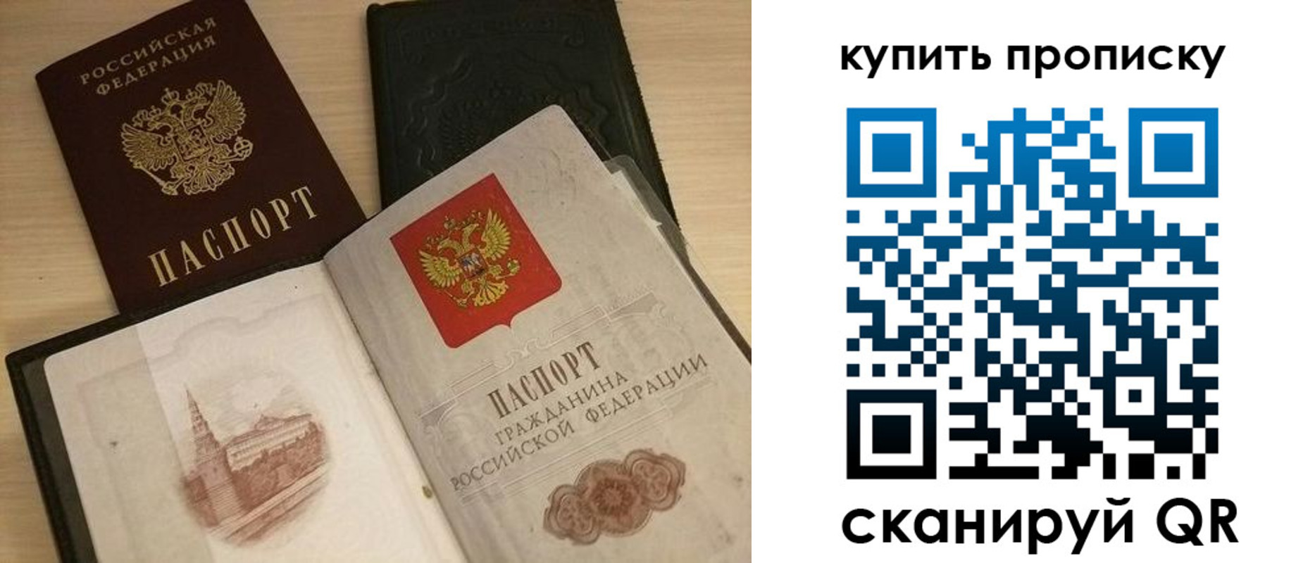 прописка гарантия в Фокино